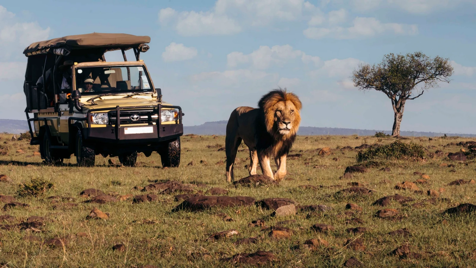 60ec1d9fda22-82865615_4K