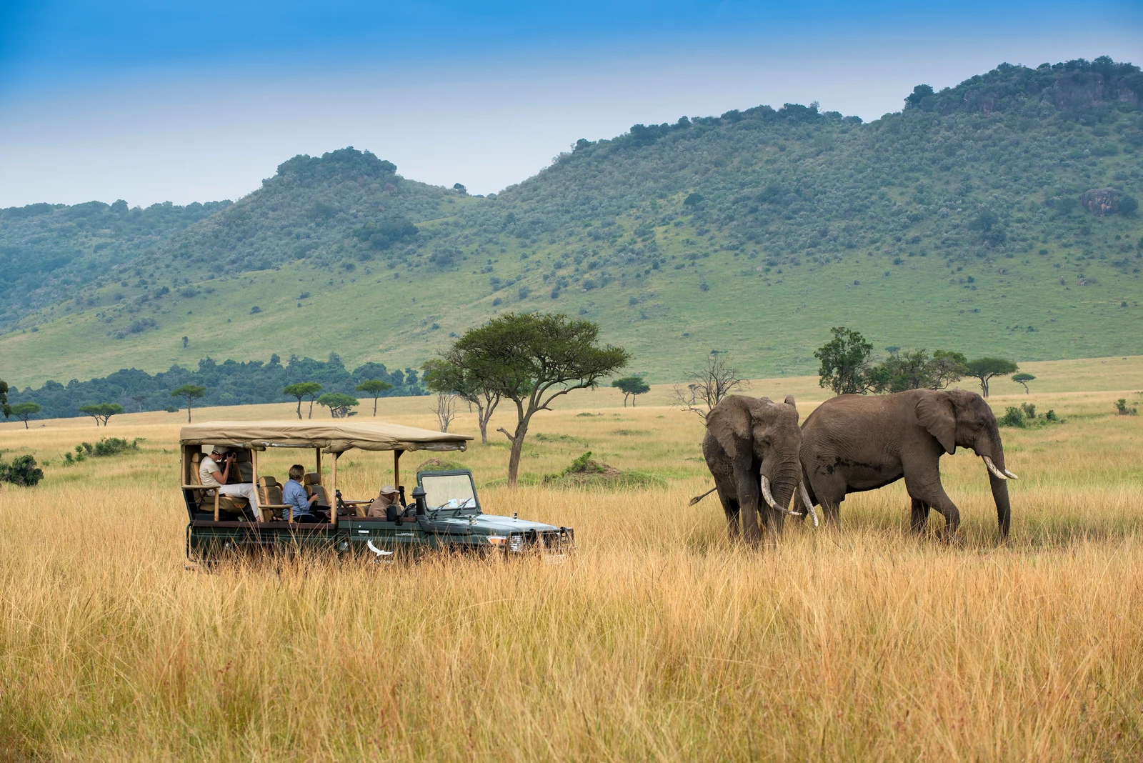 Kenya-Masai-Mara-Bateleur-Camp-elephant-safari-vehicle-13-High-Resolution-Width=5000px