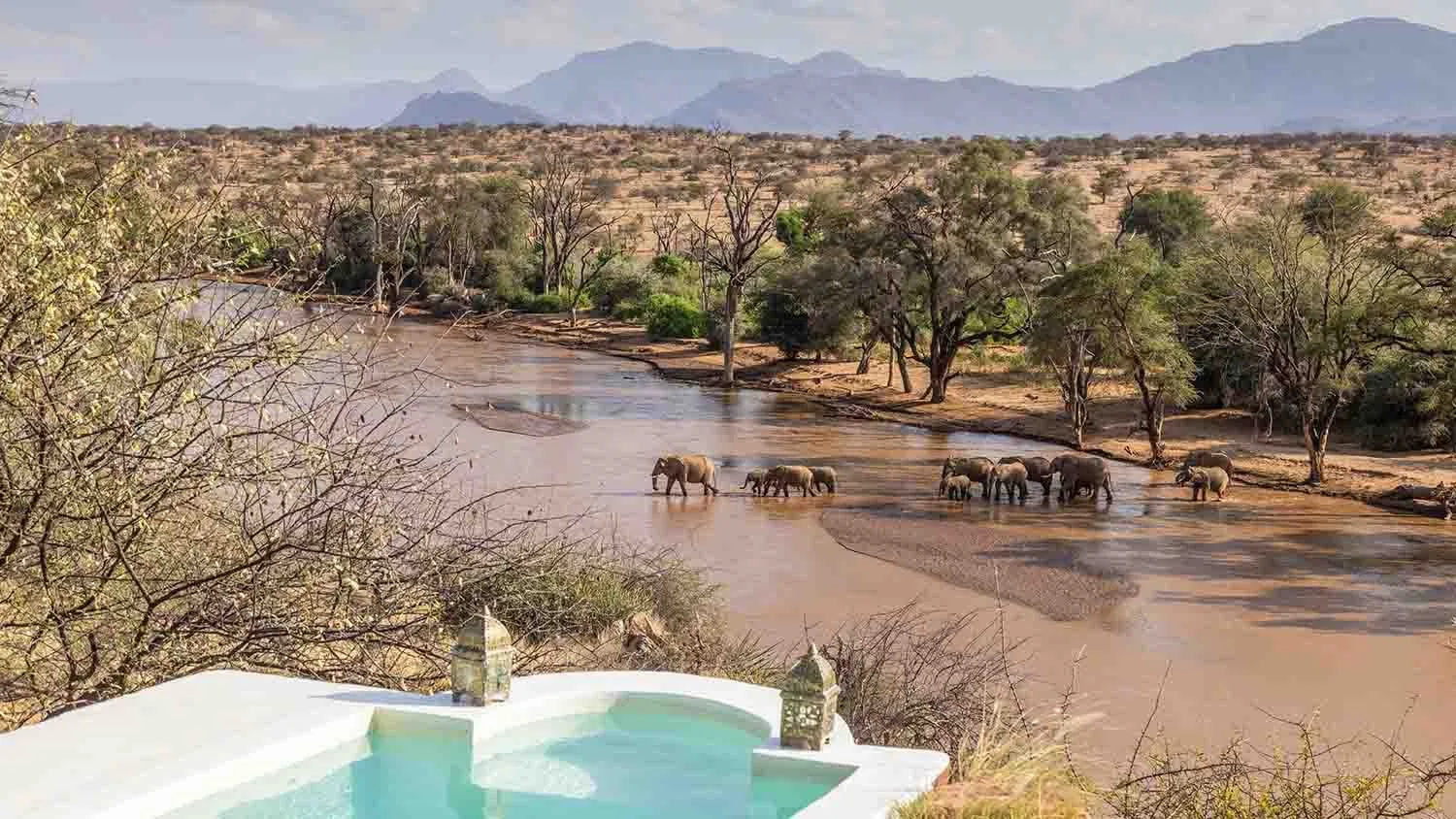 sasaab-gallery-activities-elephant-crossing-view-from-pool